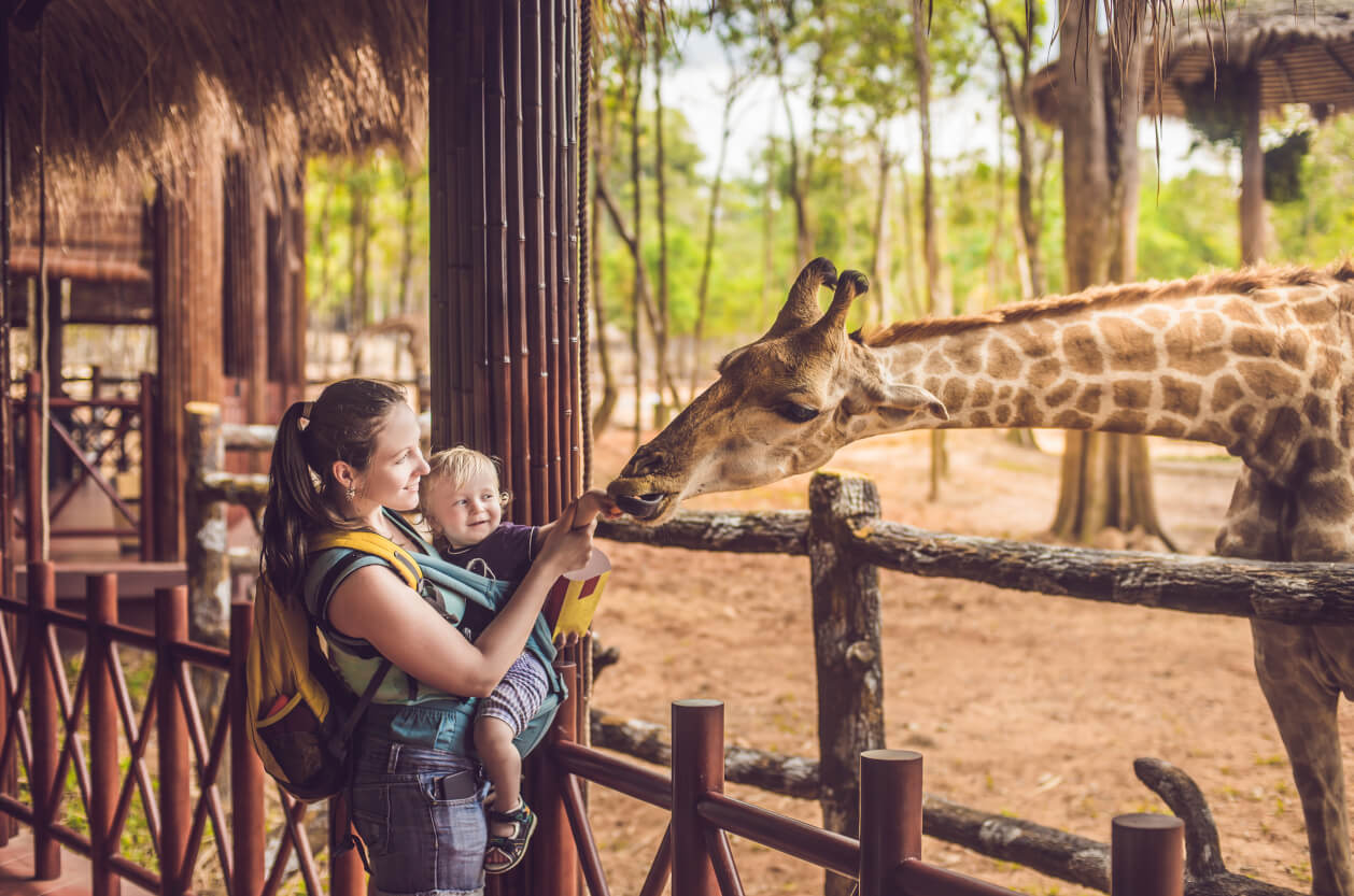 Mother and child petting a giraffe at the zoo