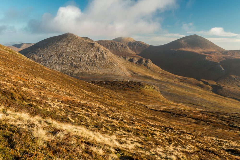 Mourne Way, Newcastle