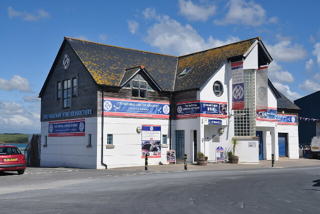 National Lobster Hatchery, Padstow