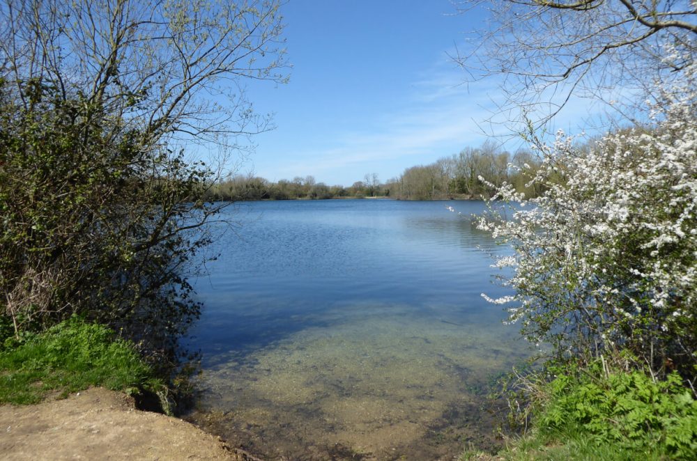 Neigh Bridge Country Park