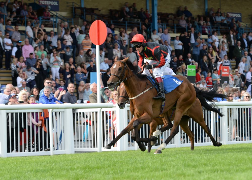 Newton Abbot Racecourse - Winning Post Racing