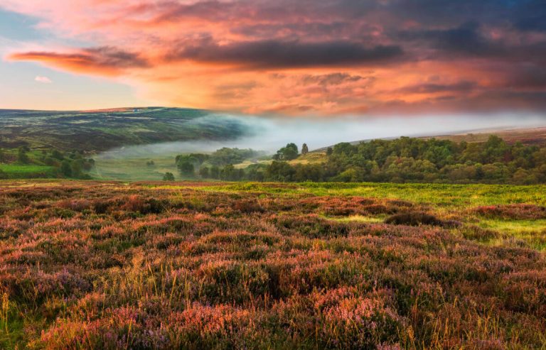 North Yorkshire Travel Guide