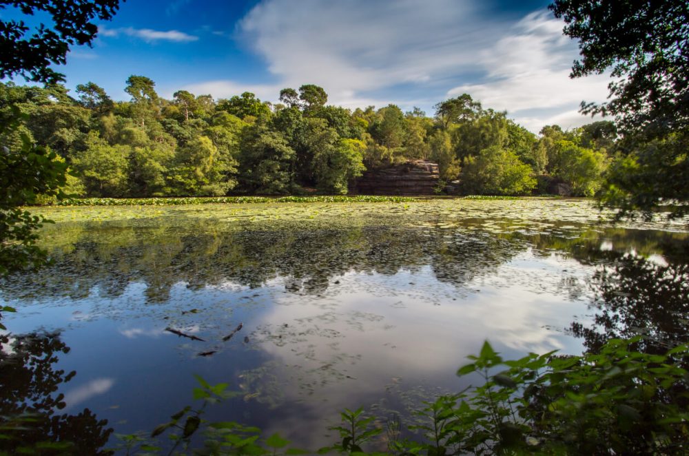 Plumpton Rocks