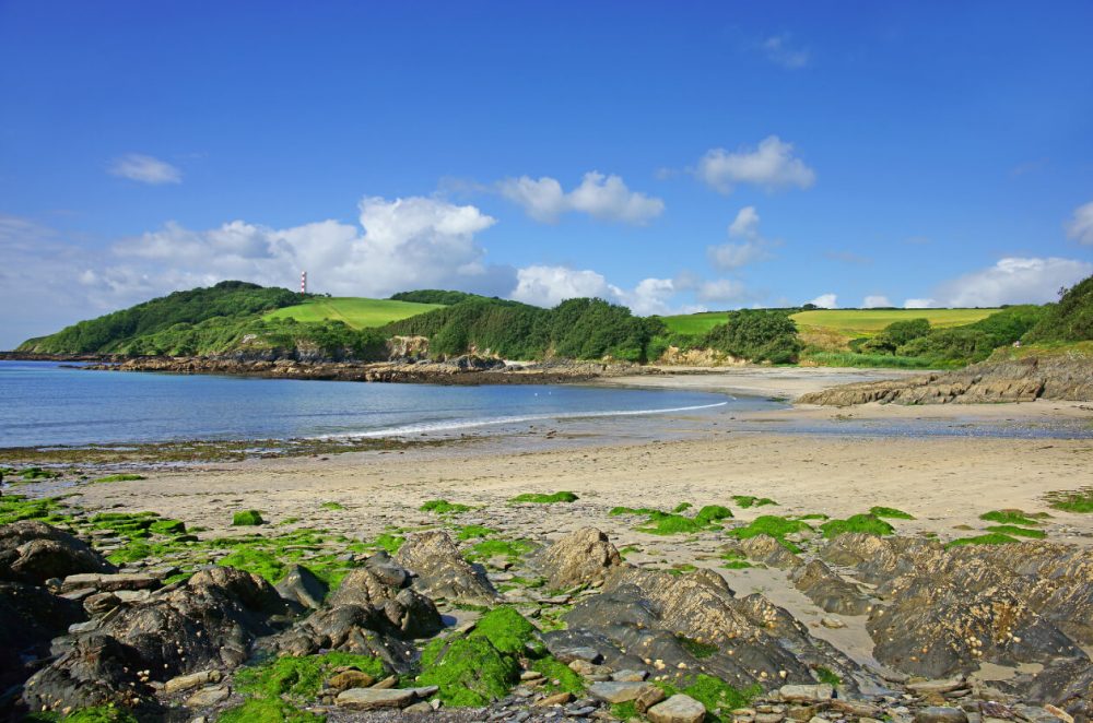 Polridmouth Cove, Cornwall