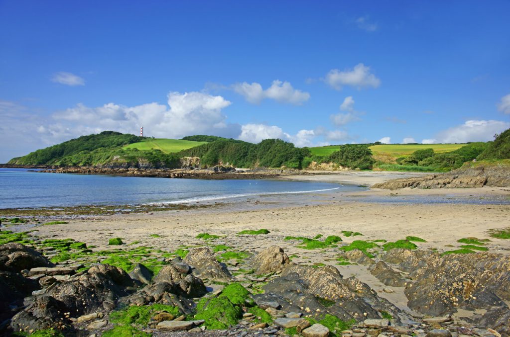 Polridmouth Cove Sykes Inspiration