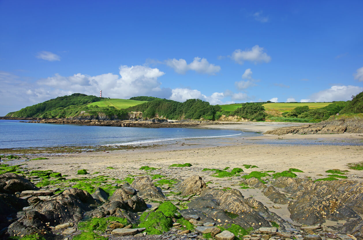 Polridmouth Cove, Cornwall