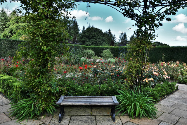 RHS Garden Rosemoor Sykes Inspiration