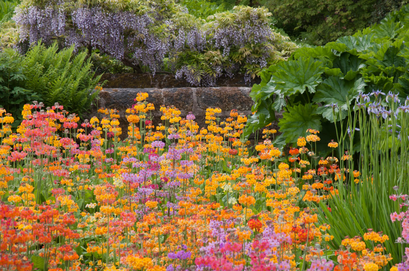 Harlow Carr Streamside