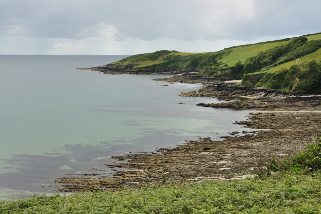 Rosemullion Head