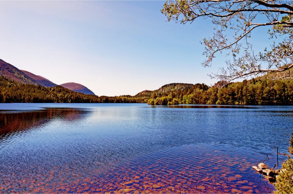 Rothiemurchus, Cairngorms National Park