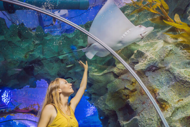 SeaQuarium Rhyl, listing