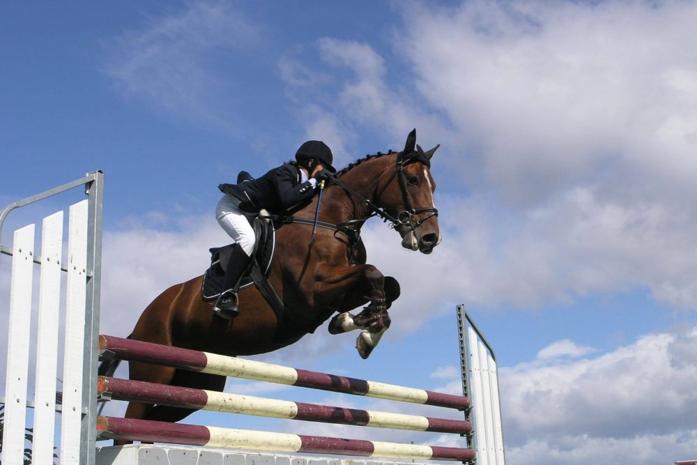 Show Jumping