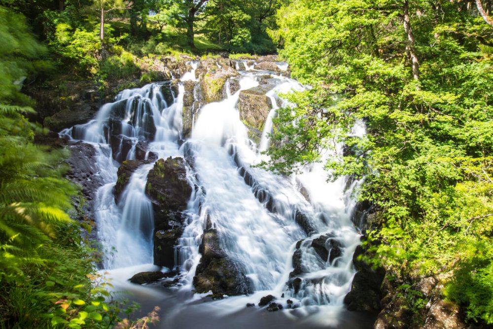 Swallow falls