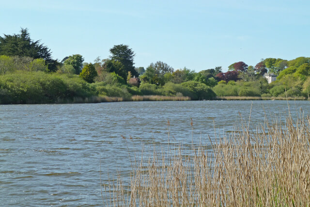 Swanvale Nature Reserve