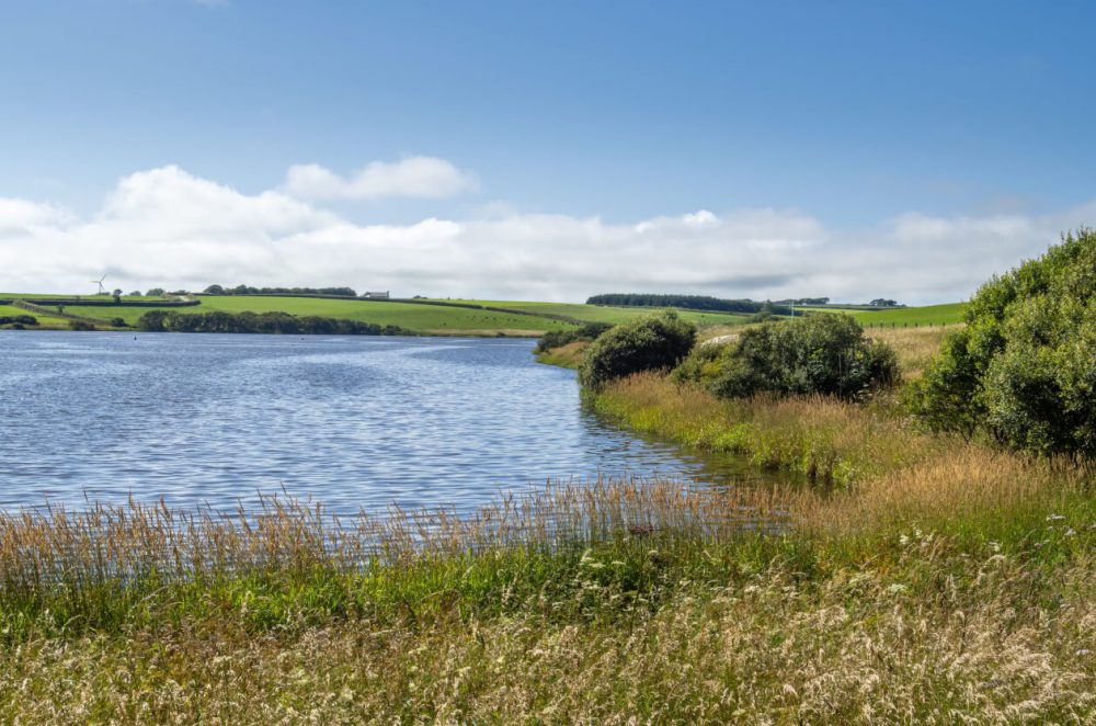 Tamar Lakes Country Park, Bude