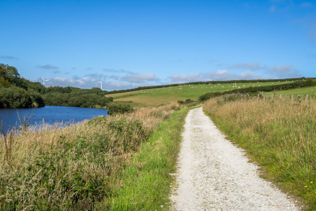 Tamar Lakes Country Park