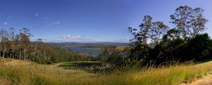 Tamar Valley Countryside Devon