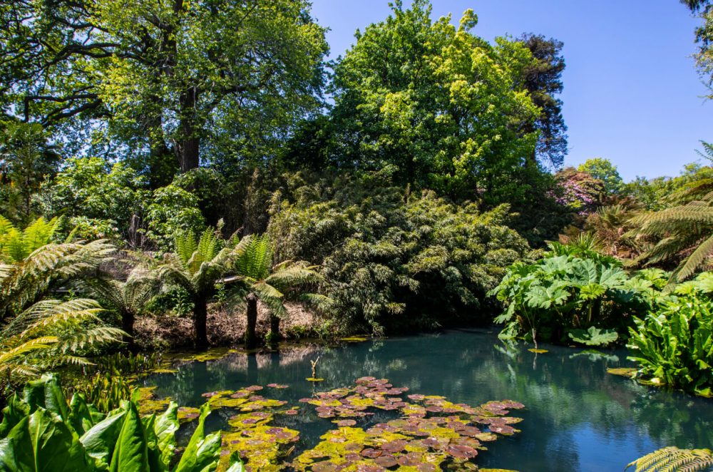 The Lost Gardens Heligan