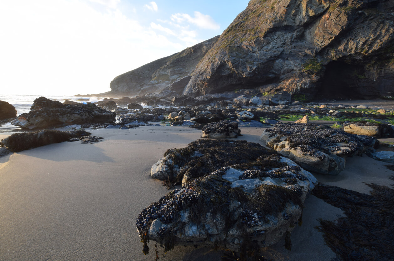 Tregardock Beach