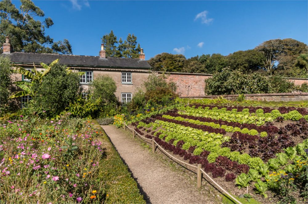 Trengwainton Garden, Cornwall