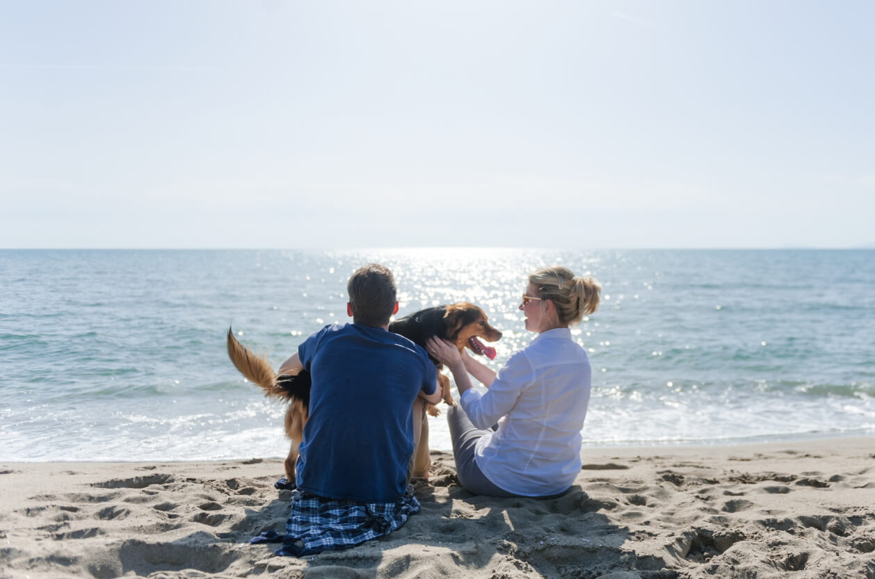 Two people sitting on beach with dog
