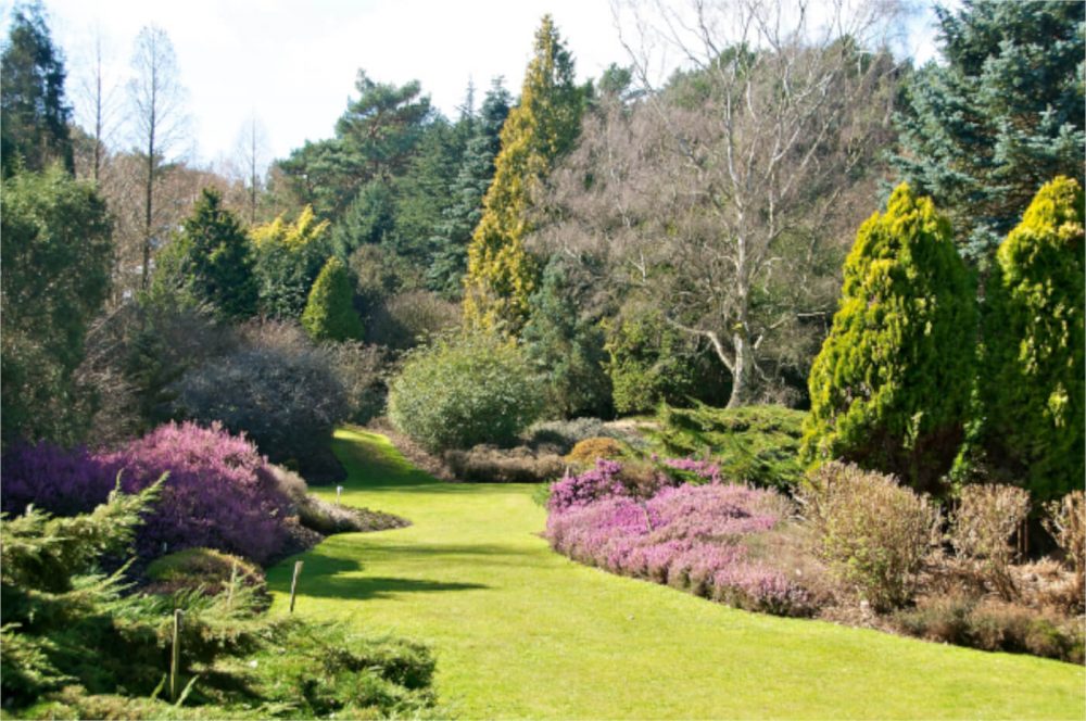 Valley Gardens Harrogate