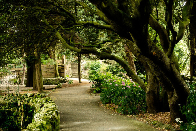 Ventnor Botanic Garden, Isle of Wight