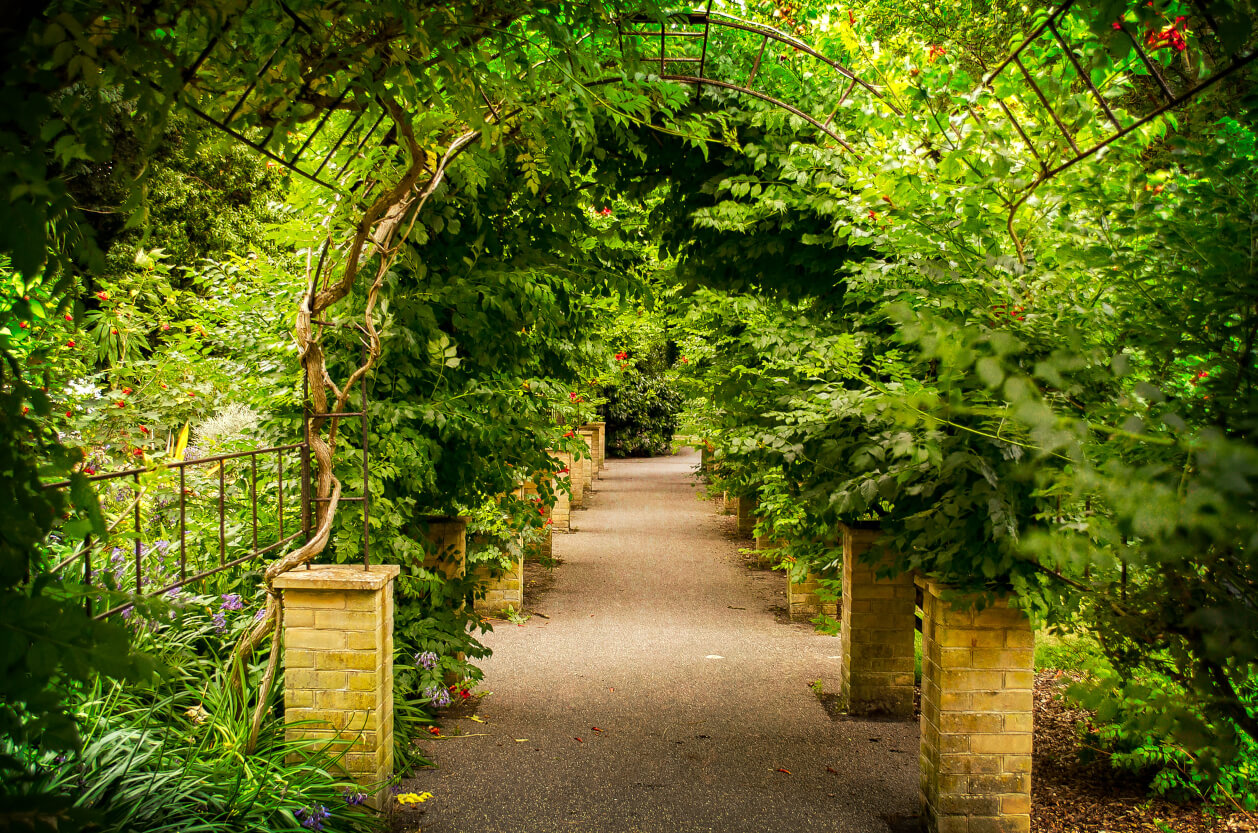 Ventnor Botanic Garden