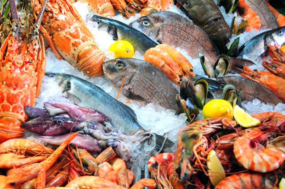 Verdant Seafood Bar Falmouth Fish