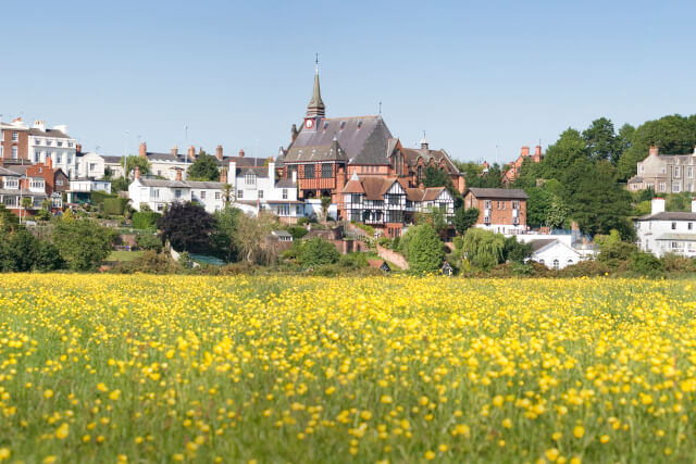 View from Chester Meadows