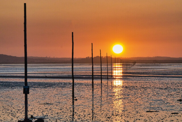 Views of Lindisfarne at sunset