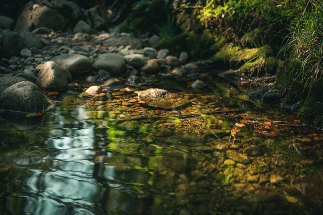 a pretty stream