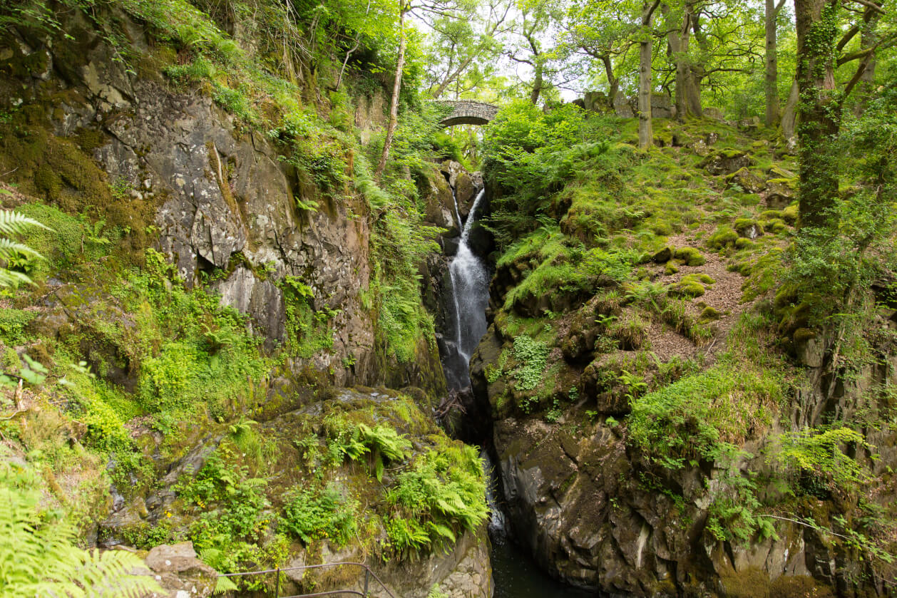 aira force waterfall with birdge atop