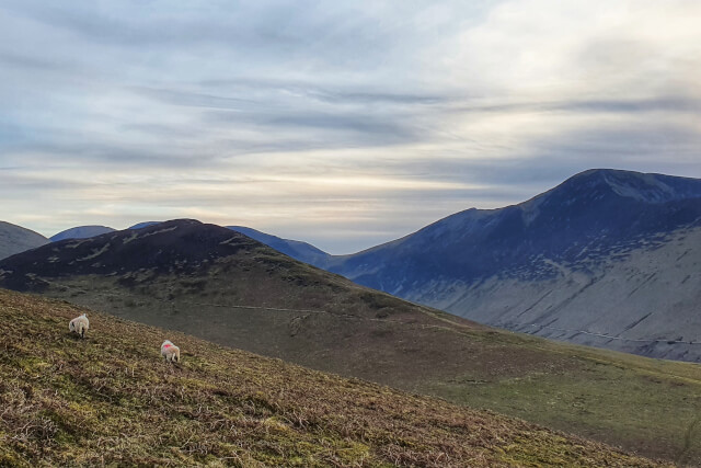 barrow fell, lake district