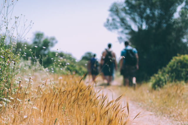 blurry picture of hikers on a walk