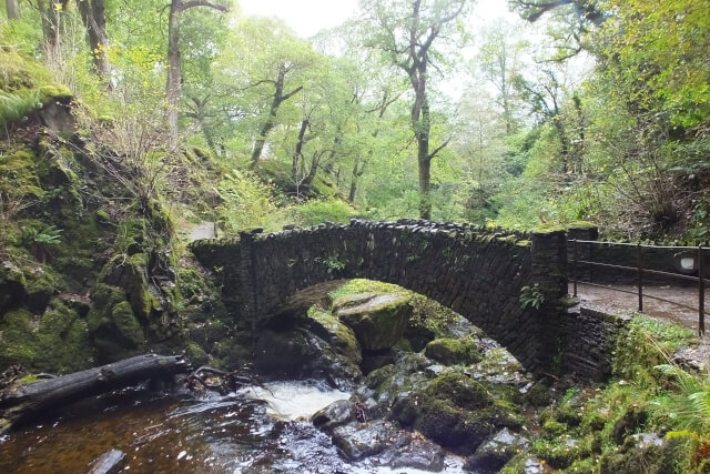 bridge over aira force