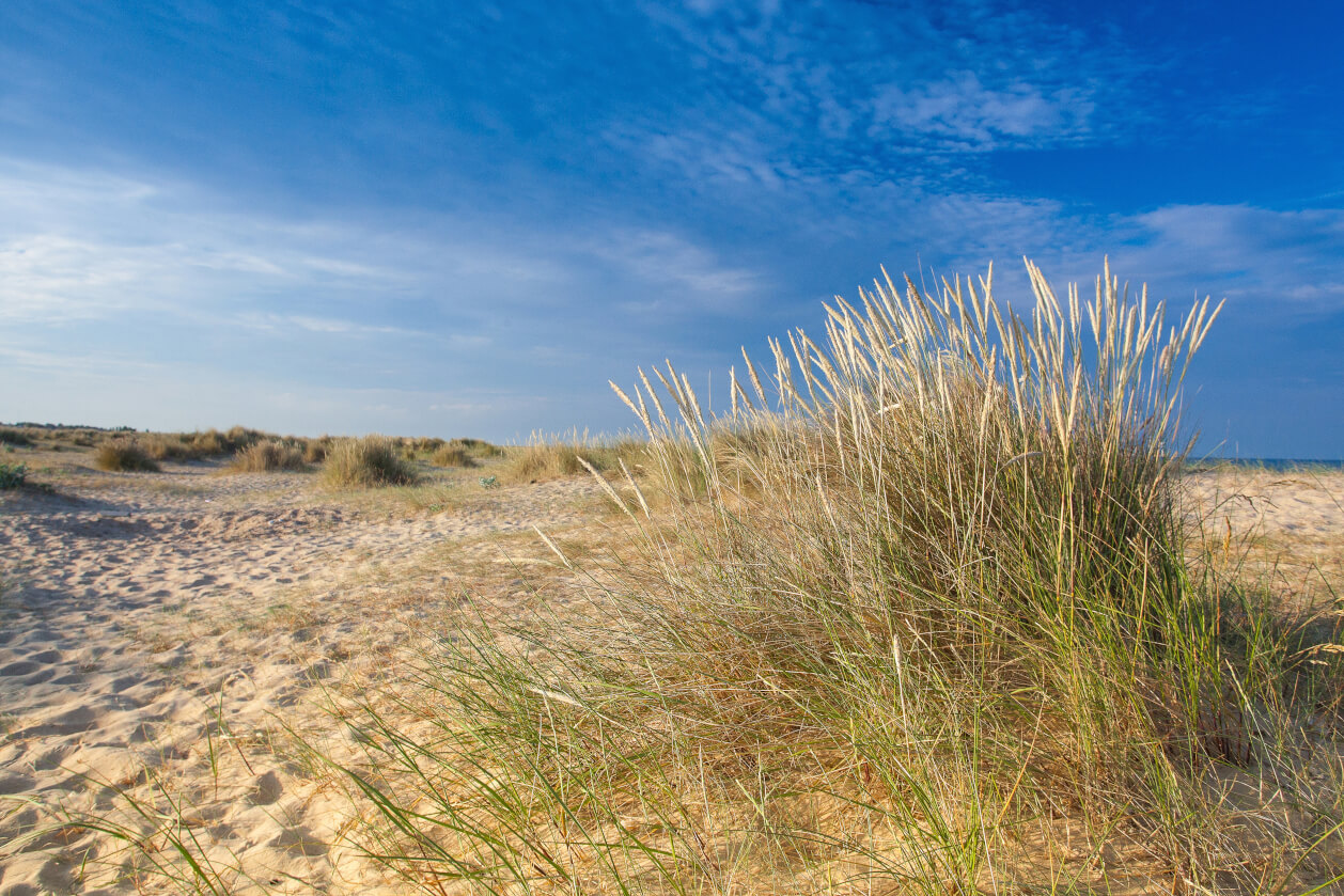 charming beach near great yarmouth