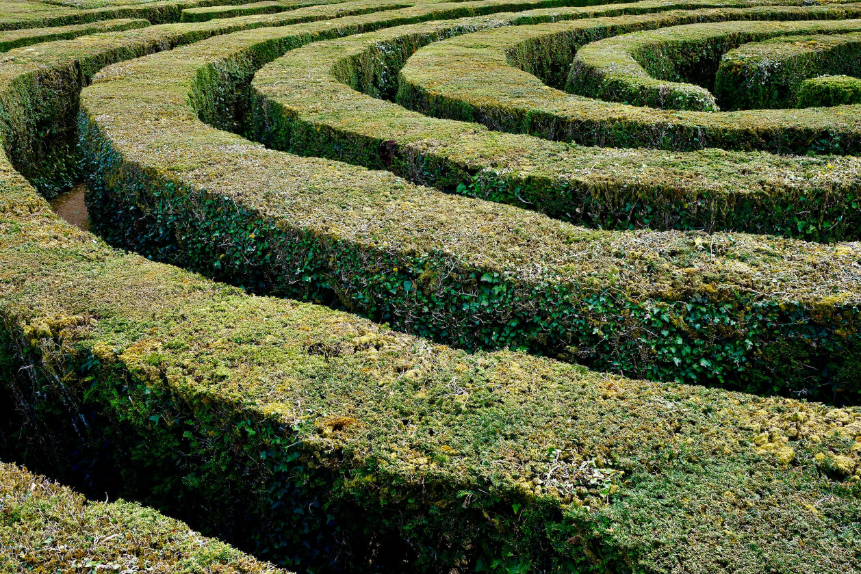 circular hedge maze