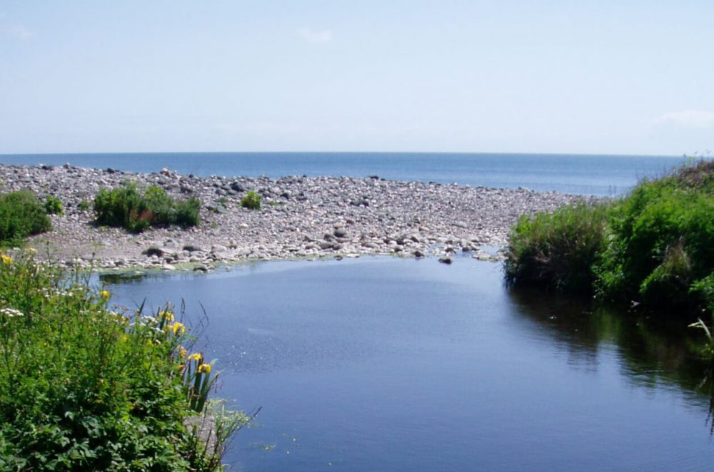 cove near old serpentine works