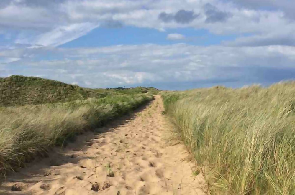 curracloe beach dunes, ireland