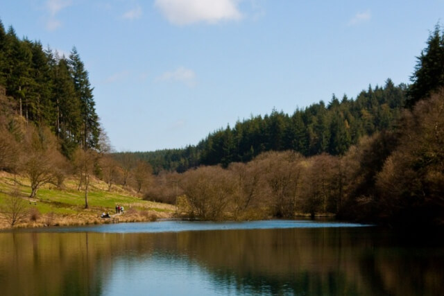 dalby forest lake