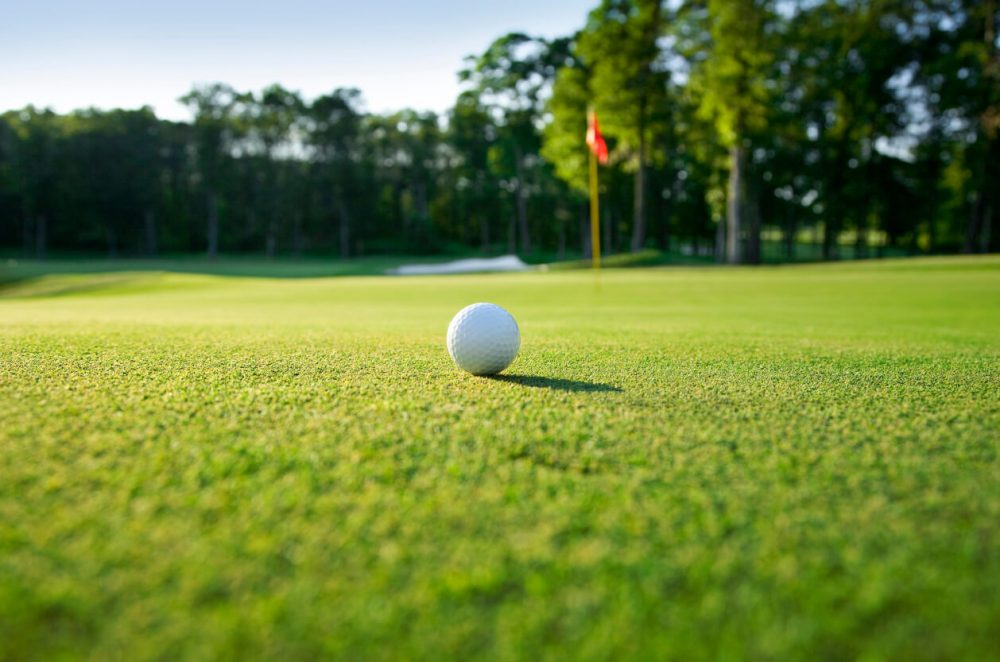 golf ball on a green