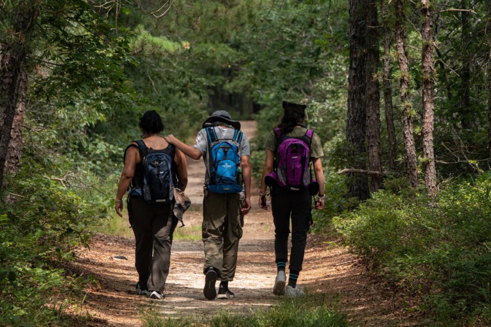 hikers venturing through a forest