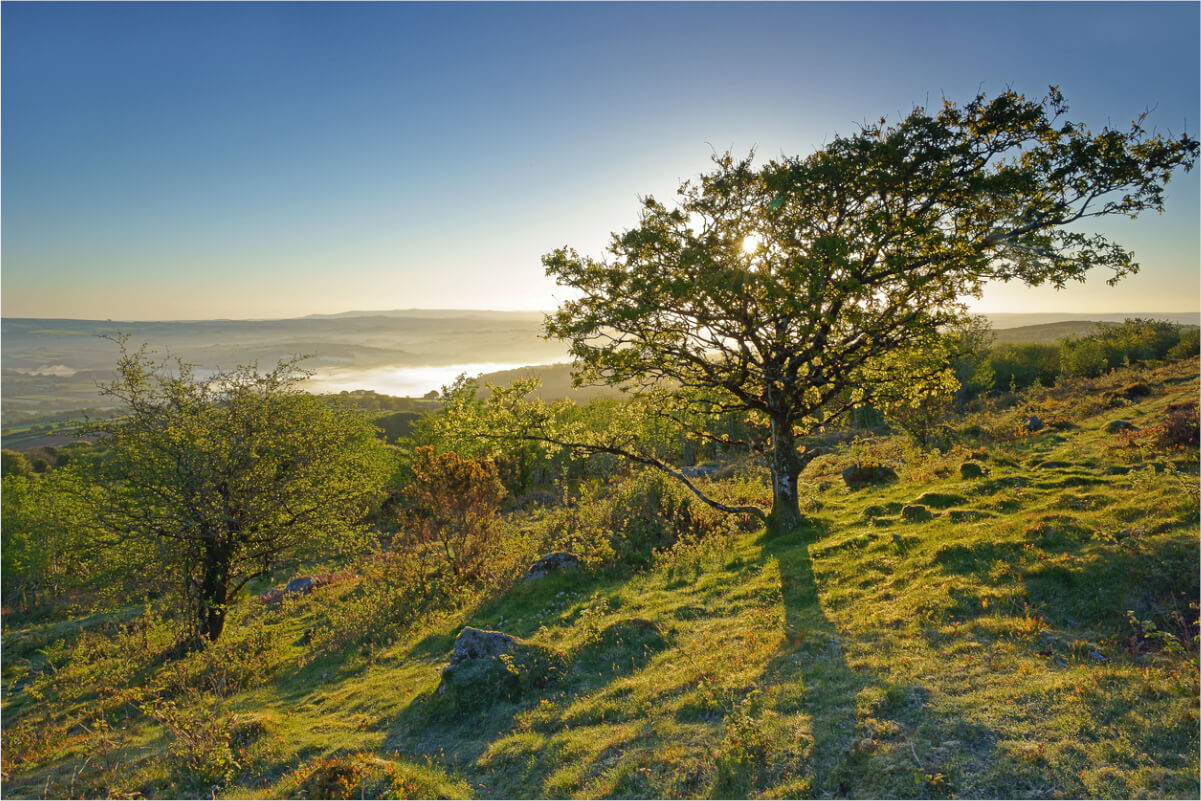 kit hill callington tamar valley