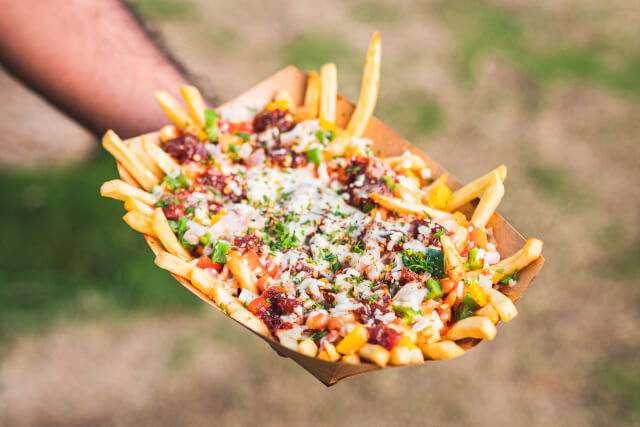 loaded fries