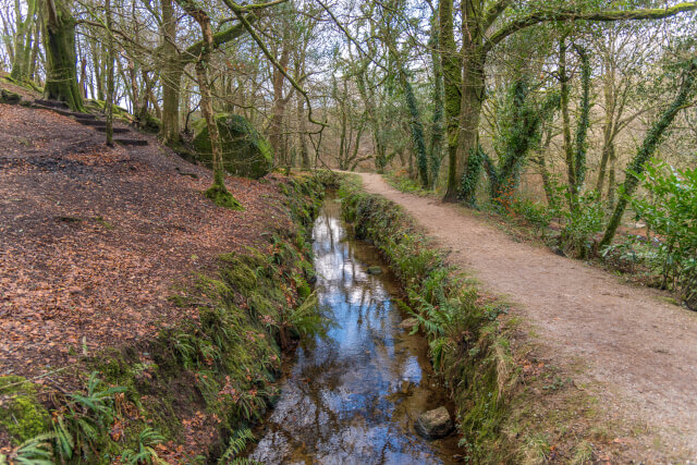 luxulyan valley cornwall