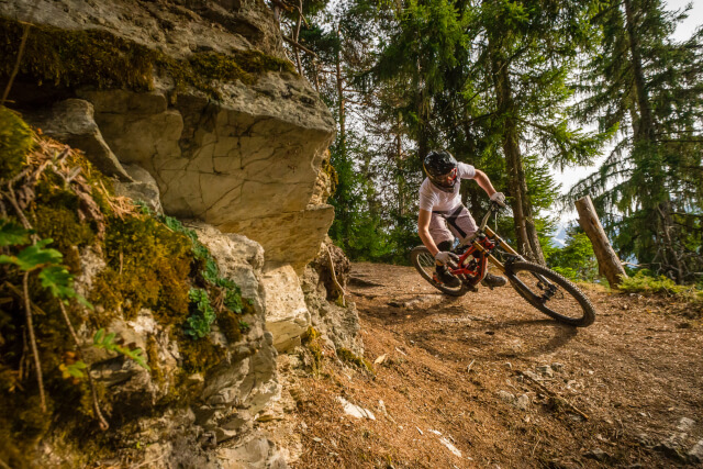 man mountain biking in forest