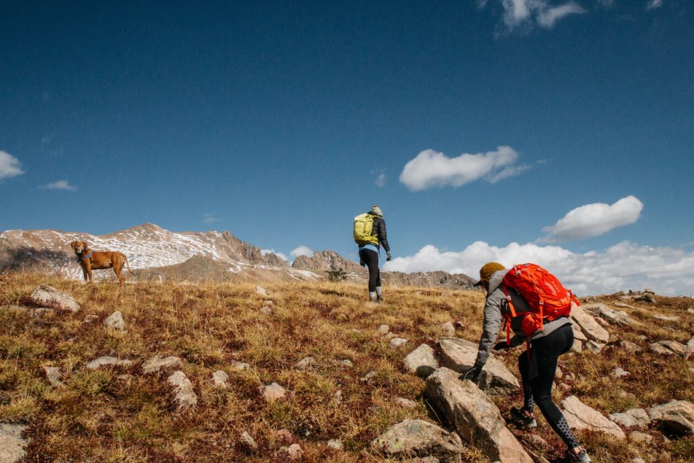 pair of hikers and a dog hiking up mountain