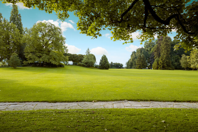 park panorama