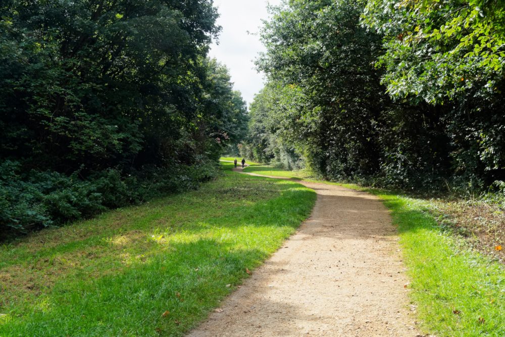 path in a country park